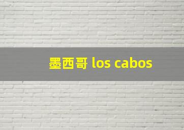 墨西哥 los cabos